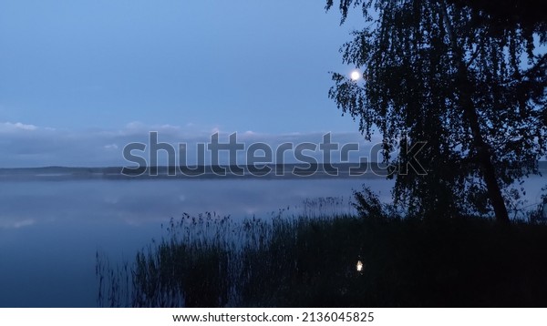 In the evening twilight, the full moon rose over\
the river. There is a forest on the banks of the river, and aquatic\
vegetation has risen in the water. The moon and trees are reflected\
in the water