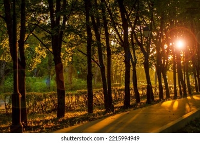 Evening View Of A Small Boulevard With Planted Trees. Street For Calm And Romantic Evening Walks In A Small Town. View Of The Alley With Trees And The Light Of The Setting Sun. Long Shadows At Dusk.