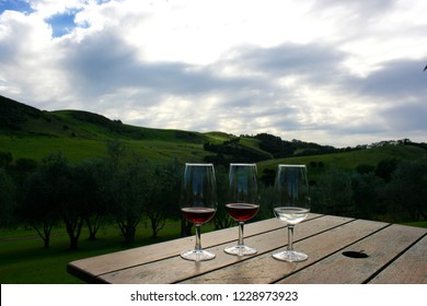 Evening Wine Tasting - Waiheke Island