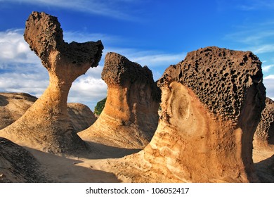 Evening In The Yehliu Geopark. Taiwan .