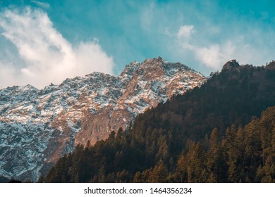 Ever Green Trees And Ever Snow Peaks