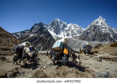 Everest Basecamp