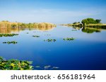 Everglades