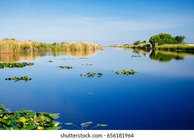 Everglades