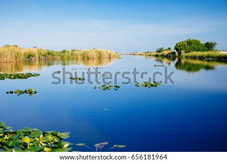 Everglades