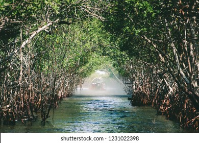 Everglades, Florida And Airboat