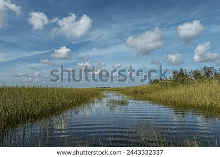 Everglades, Florida, USA - July 29, 2023: Wide landscape, River stretches out to horizon in reed filled swampland under blue cloudscape, reflected in water