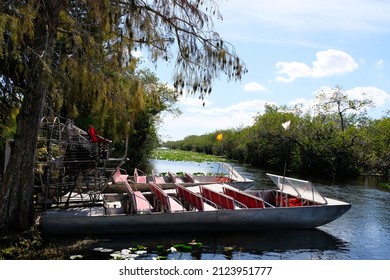 Everglades National Park Is The Largest Subtropical Wilderness In The United States. The Area Boasts Rare And Endangered Species, Such As The American Crocodile.