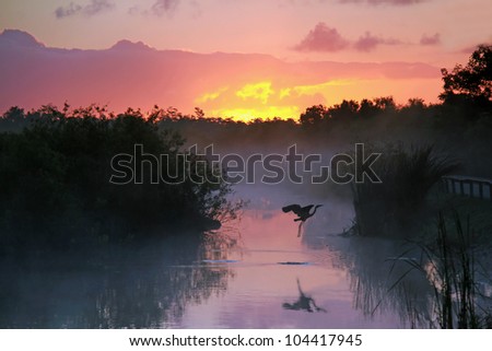 Everglades National Park at Sunrise with the Silhouette of a Flying Heron
