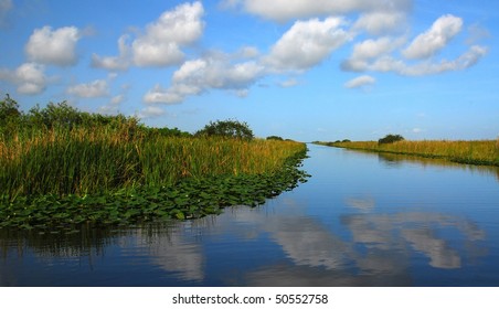 Everglades Waterway Scenic View.