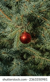 Evergreen Christmas trees with Christmas toys on branches. Christmas toy, Christmas ball under snow on spruce branch. Real winter in garden. Selective focus. Blurred background.   - Shutterstock ID 2363350981