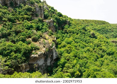 Evergreen and deciduous trees, forest, rock outcrop, cliff top view. Nature background, daylight. The concept of the environment, clean air, climate, travel. Sunny day. Nobody.