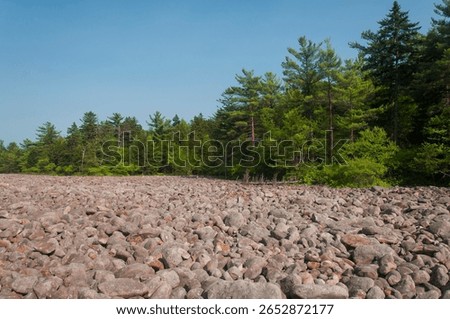 evergreen trees lining the massive hickory run boulder field geological attraction in Lake Harmony Pennsylvania.