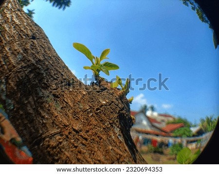 In every change, in every leaf that falls there is pain, there is beauty. And that's how new leaves grow.