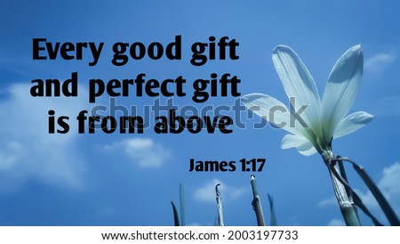 Every good gift and perfect gift is from above bible verse printed on nature photography