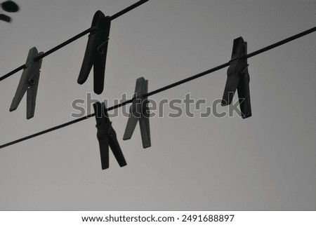 Similar – Image, Stock Photo On the line 2 Holder