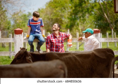 Everyday Life For Farmer With Cows. Peasant Work In South America With Livestock In Family Country Ranch. Happy Grandfather, Father And Son Relaxing And Smiling.