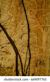Everyday things around us in the form of grunge patches in old building,public amenities and in parks / Imaginative Art / It may looks like a forest scenery,landscape or what ever our mind conceived