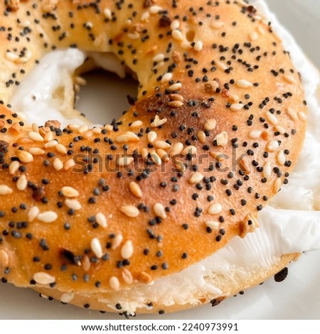 Everything bagel with plain cream cheese