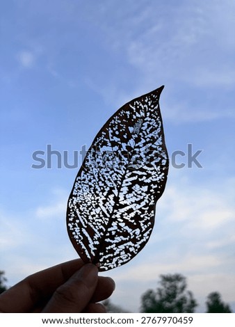 Everything changes with time. Even the perfect leaf must eventually turn into a dry, decaying leaf.