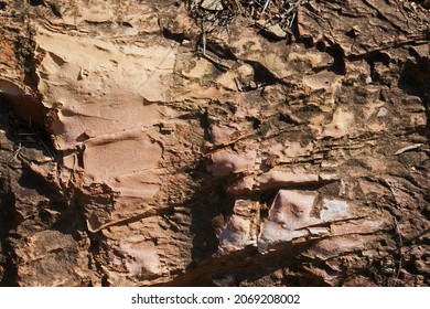 EVIDENCE OF EXPLOSIVE DIVIDISION ON A ROCKFACE
