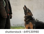 Evil, aggressive dog