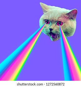 Evil Cat with rainbow lasers from eyes. Minimal collage fashion concept