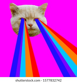 Evil Cat With Rainbow Lasers From Eyes. Minimal Collage Fashion