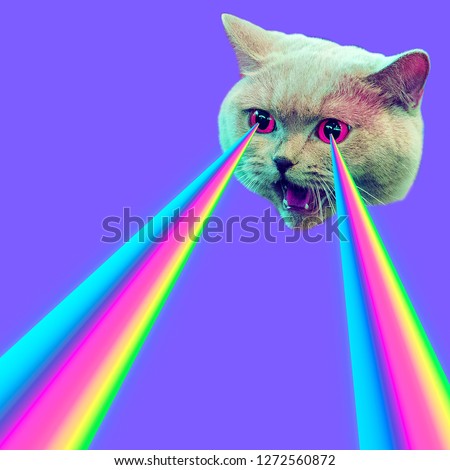 Evil Cat with rainbow lasers from eyes. Minimal collage fashion concept