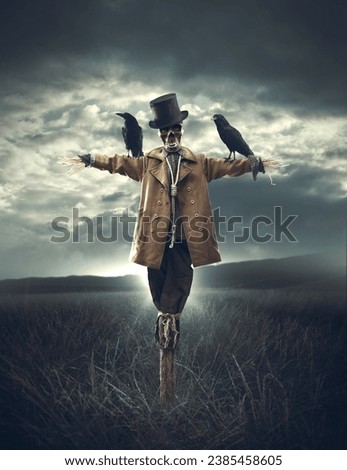Evil scarecrow with skull head and crows, Halloween and horror concept