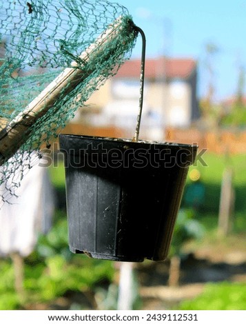 evocative close-up image of a used container
as a counterweight in the countryside