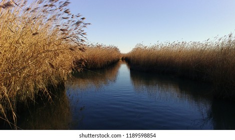 evocative image of a canal in the middle of the reeds along Delta of the Po at sunset - Shutterstock ID 1189598854