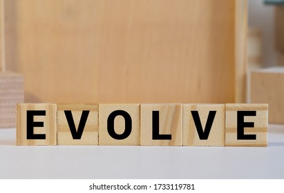 Overview Word Made Building Blocks Concept Stock Photo 1884699574 ...