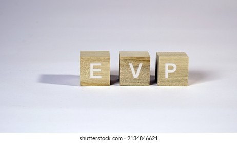 EVP employee value proposition, conceptual business illustration  - Shutterstock ID 2134846621