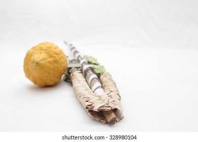 ewish festival Sukkot four species lulav and esrog isolated on white background with copyspace. Palm branch, willow and myrtle leaves, bright yellow etrog. Room for text, copy space.