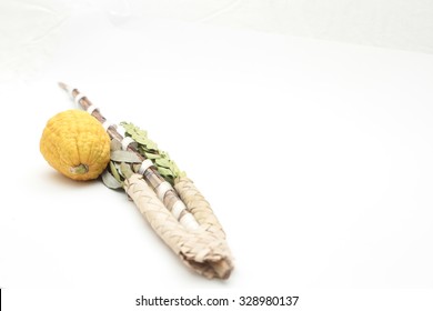 ewish festival Sukkot four species lulav and esrog isolated on white background with copyspace. Palm branch, willow and myrtle leaves, bright yellow etrog. Room for text, copy space.