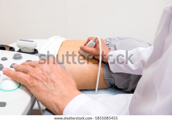Examination of the kidneys with an ultrasound\
scanner. Urologist