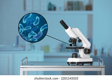 Examination Sample Bacteria Under Microscope Laboratory Stock Photo ...