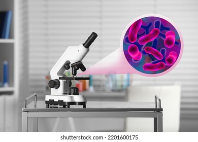 Examination Sample Bacteria Under Microscope Laboratory Stock Photo ...