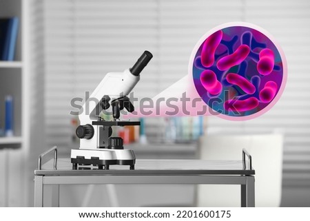 Examination of sample with bacteria under microscope in laboratory