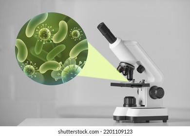 Examination of sample with germs and bacteria under microscope in laboratory - Powered by Shutterstock