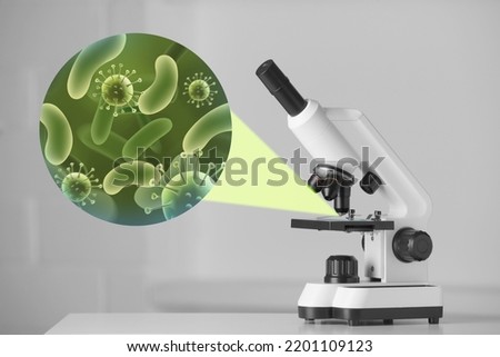 Examination of sample with germs and bacteria under microscope in laboratory