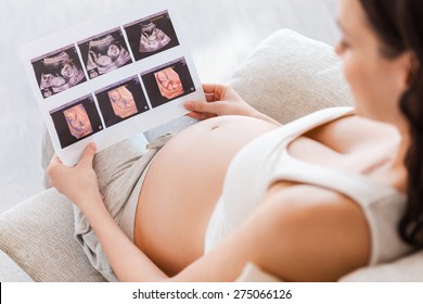 Examining x-ray picture. Top view of pregnant woman sitting on sofa and holding x-ray image of her baby