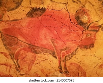 Example Of Copies Of Cave Paintings In The New Altamira Cave