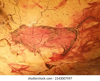 Example Of Copies Of Cave Paintings In The New Altamira Cave