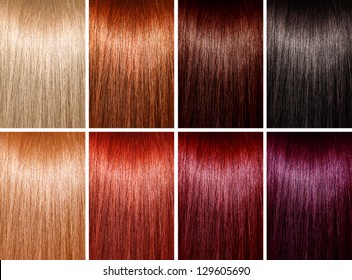 Example Of Different Hair Colors