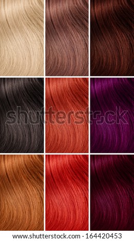 different hair colors highlight example of different hair colors different hair colors stock photo edit now 164420453 different hair colors highlight example of different hair colors different hair colors stock photo edit now 164420453