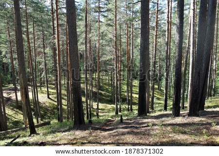 Similar – Foto Bild Baum in Schräglage schräg