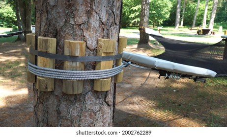 Example Of Hammock Fixing Around Tree Trunks Using Wooden Spacers. The Landscape Of A Public Entertainment Venue With The Large Mesh Hammock Attachment Technology Between Pine Trunks In Close-up.