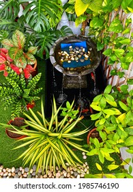 Example of mini pond with fish for landscape